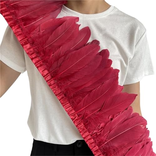 HIFRQVVC Party Dekoration Federn Band, Gänsefederbesatz, Fransen, 2 Meter Länge, 15–20 cm, DIY-Kostüm, Kleid, Nähdekoration(Wine Red) von HIFRQVVC