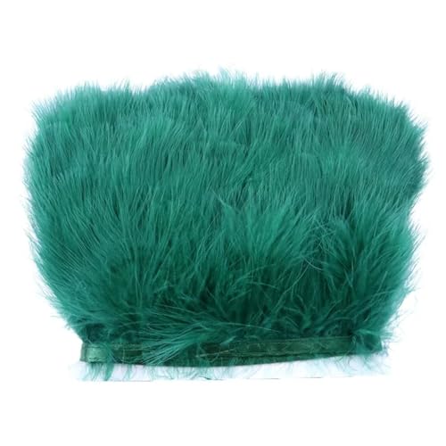 HIFRQVVC Party Dekoration Federn Band, Natürliche Federn Quaste Fringe Trim Ribbon Nähen DIY 10 Meter 10CM Breite(Blackish EN8) von HIFRQVVC