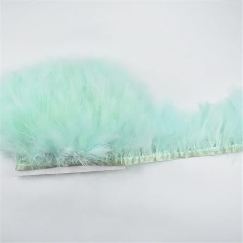 HIFRQVVC Party Dekoration Federn Band, Natürliche Federn Quaste Fringe Trim Ribbon Nähen DIY 10 Meter 10CM Breite(Mint EN8) von HIFRQVVC