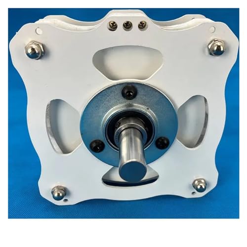 1000 W Hochleistungs-DIY-Scheiben-Permanentmagnet-Kernlosgenerator, niedrige Geschwindigkeit, hohe Effizienz Für Anfänger und Heimwerker(Steel Finished) von HIHUPTRW