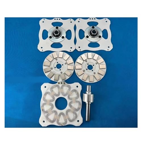 1000 W Hochleistungs-DIY-Scheiben-Permanentmagnet-Kernlosgenerator, niedrige Geschwindigkeit, hohe Effizienz Für Anfänger und Heimwerker(Steel Kit) von HIHUPTRW