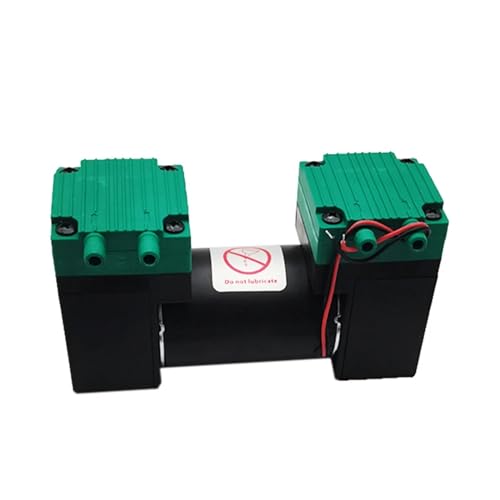 Mikro-Vakuumpumpe, elektrische Pumpe, geräuschlos, kleine Luftpumpe, Doppelkopf-Membranpumpe, 20 l/min Für Anfänger und Heimwerker(12V) von HIHUPTRW
