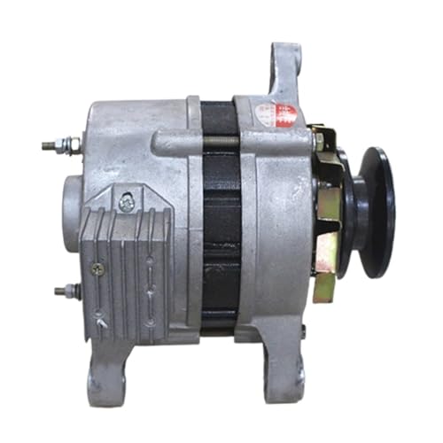 Wechselstrom-Permanentmagnet-Bürstenloser Hochleistungsnerator, bürstenloser nerator-Riemenscheiben-Permanentmagnet 220 V 800 W, 1300 W, 2000 W Für Anfänger und Heimwerker(1300W) von HIHUPTRW