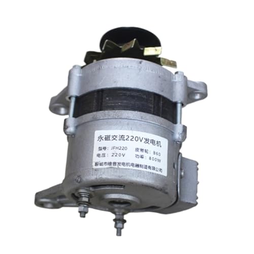 Wechselstrom-Permanentmagnet-Bürstenloser Hochleistungsnerator, bürstenloser nerator-Riemenscheiben-Permanentmagnet 220 V 800 W, 1300 W, 2000 W Für Anfänger und Heimwerker(800W) von HIHUPTRW