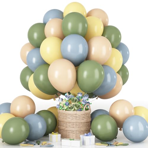 Luftballon Salbeigrün Gelb Blau, 60 Stück 12 Zoll Retro Sage Grün Macaron Pastell Gelb Weiß Sand Beige Dusty Blau Latex Helium Ballon für Geburtstag Party Deko Bee Babyparty Hochzeit Dekorations Luftballon Salbeigrün Gelb Blau, 60 Stück 12 Zoll Retro Sage Grün Macaron Pastell Gelb Weiß Sand Beige Dusty Blau Latex Helium Ballon für Geburtstag Party Deko Bee Babyparty Hochzeit Dekorations von HILAVO