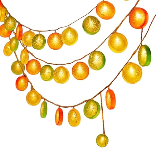 HIMS Lichterkette Orange, 2m 10 LEDs Lichterkette Deko, Lichterkette Orangenscheiben, Orangen Lichterkette, Zitronenlicht für Terrasse, Schlafzimmer, Party, Hochzeit, Innen und außen (Mischen) von HIMS