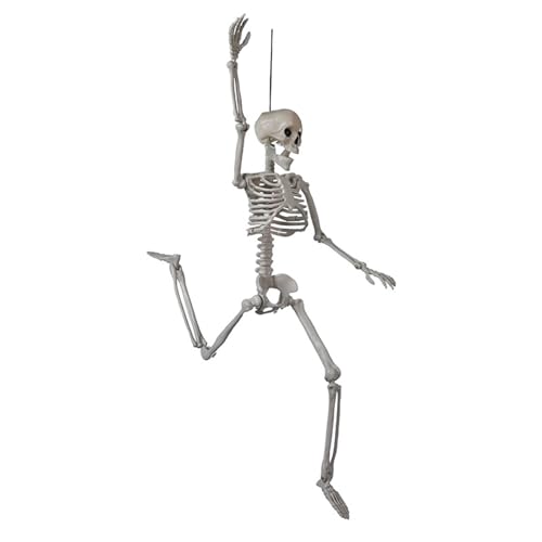 Halloween-Dekoration, Ganzkörper-Skelett mit beweglichem Glied für Spukhaus, Dekoration und Partydekoration, Totenkopf-Ornament, Skelett Halloween-Dekoration, Ganzkörper-Skelett mit beweglichem Glied für Spukhaus, Dekoration und Partydekoration, Totenkopf-Ornament, Skelett von HINAYOSAN
