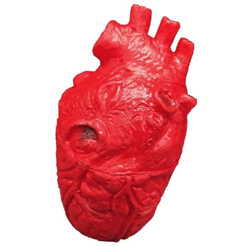 Horror-Requisiten in Herzform, realistische herzförmige Requisiten, Halloween-Requisiten, Herz-Ornamente, Halloween-Partyzubehör, geeignet für Liebhaber, Party-Organizer, Themenveranstaltungsplaner Horror-Requisiten in Herzform, realistische herzförmige Requisiten, Halloween-Requisiten, Herz-Ornamente, Halloween-Partyzubehör, geeignet für Liebhaber, Party-Organizer, Themenveranstaltungsplaner von HINAYOSAN