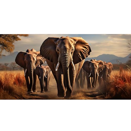 HIZANO 5D Diamond Painting Erwachsene,DIY Diamant Painting Bilder Kinder,Diamond Painting Set Afrika-Tier-Elefant,Diamant Painting Erwachsene,Diamond Painting Bilder für Wohnzimmer Wanddekor 50x100cm HIZANO 5D Diamond Painting Erwachsene,DIY Diamant Painting Bilder Kinder,Diamond Painting Set Afrika-Tier-Elefant,Diamant Painting Erwachsene,Diamond Painting Bilder für Wohnzimmer Wanddekor 50x100cm von HIZANO