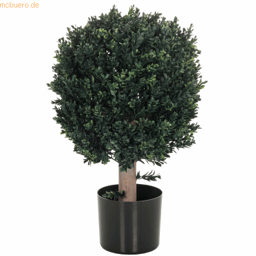 HJH Kunstpflanze Buxus 871055 HJH Kunstpflanze Buxus 871055 von HJH