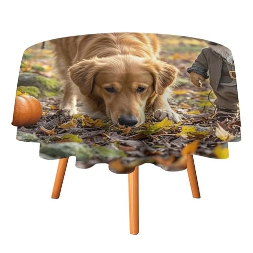 HJKBCV Tischdecke, wasserdicht, 300D-Polyester, Tischdecke mit Kürbissen und Ahornblättern, Tischdecke für Küche, knitterfrei, Tischdecken für Esstisch, für den Außenbereich HJKBCV Tischdecke, wasserdicht, 300D-Polyester, Tischdecke mit Kürbissen und Ahornblättern, Tischdecke für Küche, knitterfrei, Tischdecken für Esstisch, für den Außenbereich von HJKBCV
