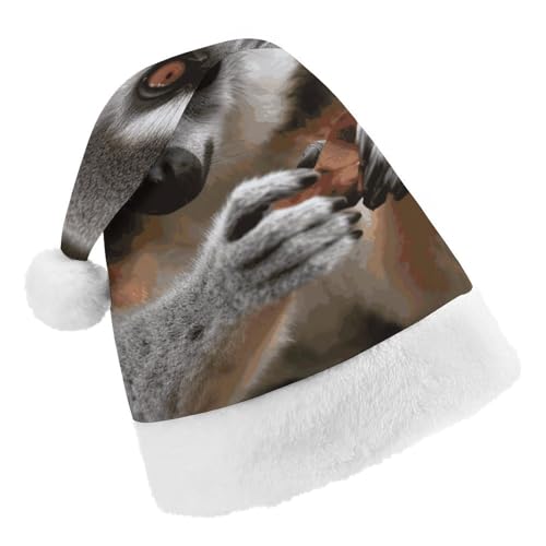 Weihnachtsmütze für Männer und Frauen, Plüsch-Weihnachtsmütze, Affe, Lemur, niedliche Weihnachtsmütze für Party, Urlaub Weihnachtsmütze für Männer und Frauen, Plüsch-Weihnachtsmütze, Affe, Lemur, niedliche Weihnachtsmütze für Party, Urlaub von HJKBCV