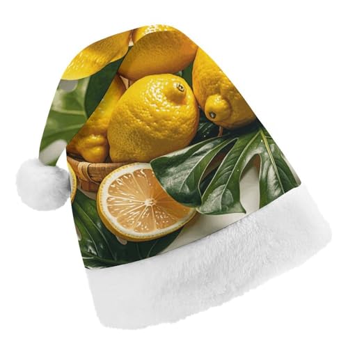 Weihnachtsmütze für Männer und Frauen, Plüsch-Weihnachtsmütze, frische tropische Zitronen, Weihnachtsmannmützen für Party, Urlaub Weihnachtsmütze für Männer und Frauen, Plüsch-Weihnachtsmütze, frische tropische Zitronen, Weihnachtsmannmützen für Party, Urlaub von HJKBCV