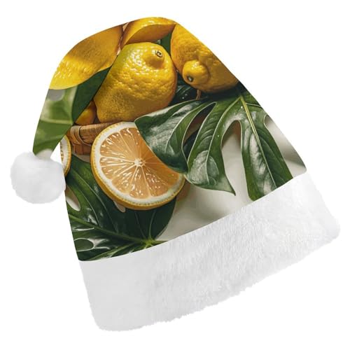 Weihnachtsmütze für Männer und Frauen, Plüsch-Weihnachtsmütze, frische tropische Zitronen, Weihnachtsmannmützen für Party, Urlaub Weihnachtsmütze für Männer und Frauen, Plüsch-Weihnachtsmütze, frische tropische Zitronen, Weihnachtsmannmützen für Party, Urlaub von HJKBCV
