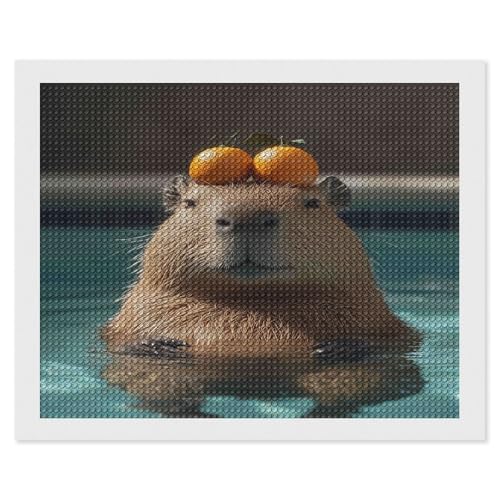 Capybara,Diamond Painting Kits for Adults, 5D Diamond Art Kits for Beginners, DIY Full Drill Picture with Diamond for Home Wall Decor 30x40cm Capybara,Diamond Painting Kits for Adults, 5D Diamond Art Kits for Beginners, DIY Full Drill Picture with Diamond for Home Wall Decor 30x40cm von HKFLD