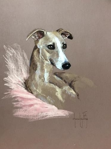 DIY 5D Diamond Painting by Number Kits Animal Whippet Painting Cross Stitch Full Drill Crystal Rhinestone Embroidery Pictures Arts Craft for Home Wall Decor GiftNo Frame 30x40cm von HKFLD