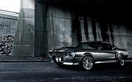 HKFLD 5D Diamond Painting Art Kit Mustang Shelby GT Home Decoration Christmas Gift40x50CM von HKFLD