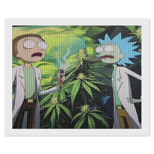 HKFLD DIY 5D Diamond Painting by Number Kits, Crystal Rhinestone Diamond Embroidery Paintings Pictures Arts Craft for Home Wall Decor & Relaxation（Rick And Morty-） 50 * 60cm von HKFLD
