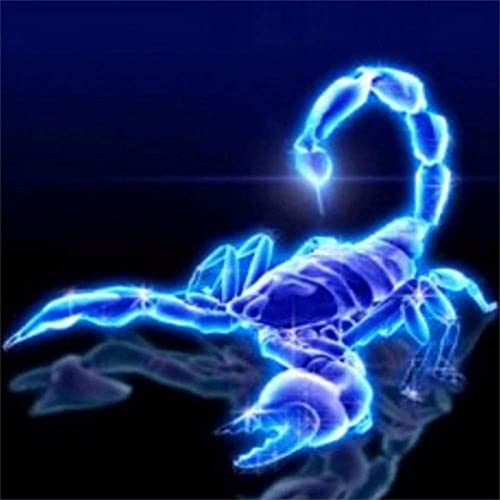 HKFLD Scorpion Embroidery 5D DIY Diamond Painting Kit, Full Round Diamond Cross Stitch Rhinestone Art Craft Kit 30x40cmKbG177 von HKFLD