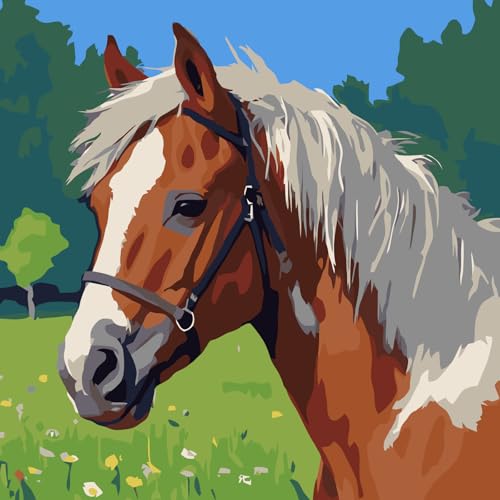 HKLIOPU Malen nach Zahlen Erwachsene Holsteiner Pferd,DIY Ölgemälde Kit Acrylfarbe Malen nach Zahlen Tier 40x40cm(Rahmenlos) von HKLIOPU