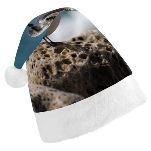 HKMNTGD Personalisierte Weihnachtsmannmütze, weicher Plüsch, personalisierbar, Weihnachtsmannmütze, Vogel sitzend auf dem Felsen, bedruckte Weihnachtsmützen für Erwachsene HKMNTGD Personalisierte Weihnachtsmannmütze, weicher Plüsch, personalisierbar, Weihnachtsmannmütze, Vogel sitzend auf dem Felsen, bedruckte Weihnachtsmützen für Erwachsene von HKMNTGD