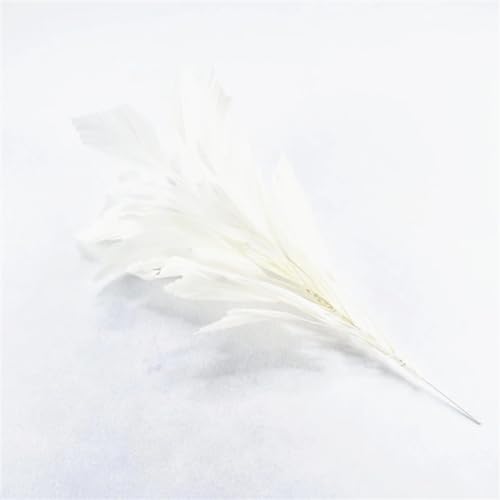 HKSDKABOP Handwerksdekoration mit Federn, 1 Bündel Fasanenfeder Blume Multicolor for Schmuck Kopfschmuck Party Hochzeit Dekoration(White) von HKSDKABOP