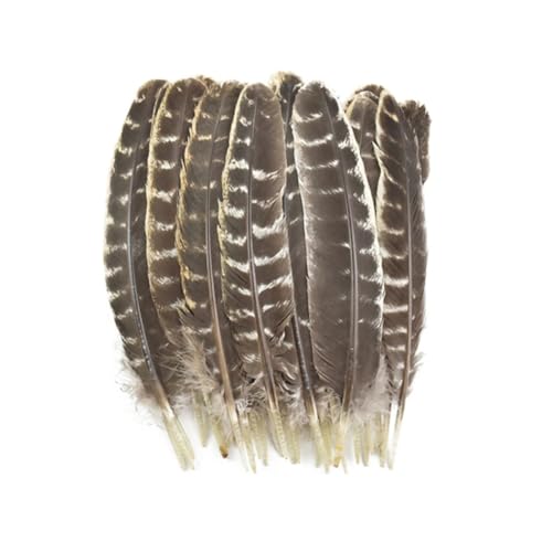 HKSDKABOP Handwerksdekoration mit Federn, 10 Stück natürliche Truthahnfedern for Basteln, DIY, Hochzeitsdeko, mehrere Größen, natürlich(20-25cm 8-10inch) von HKSDKABOP