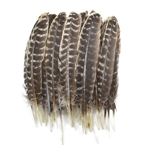 HKSDKABOP Handwerksdekoration mit Federn, 10 Stück natürliche Truthahnfedern for Basteln, DIY, Hochzeitsdeko, mehrere Größen, natürlich(25-30cm 10-12inch) von HKSDKABOP