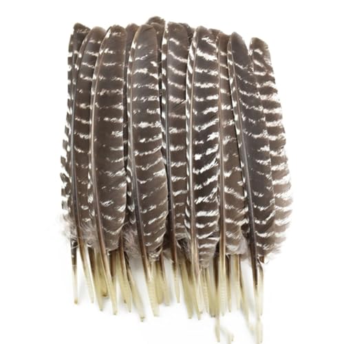 HKSDKABOP Handwerksdekoration mit Federn, 10 Stück natürliche Truthahnfedern for Basteln, DIY, Hochzeitsdeko, mehrere Größen, natürlich(30-35cm 12-14inch) von HKSDKABOP