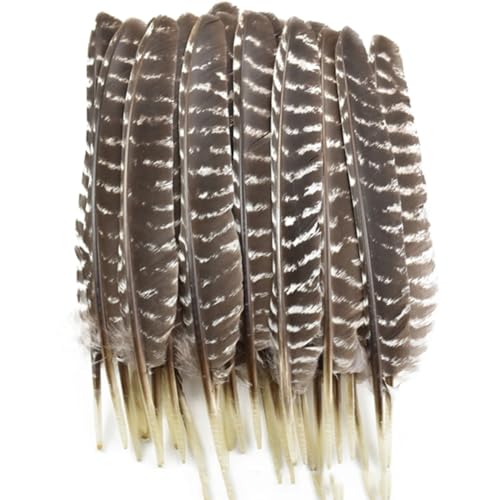 HKSDKABOP Handwerksdekoration mit Federn, 10 Stück natürliche Truthahnfedern for Basteln, DIY, Hochzeitsdeko, mehrere Größen, natürlich(35-40cm 14-16inch) von HKSDKABOP