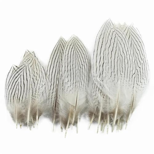 HKSDKABOP Handwerksdekoration mit Federn, 10er-Pack natürliche Silberne Fasanenfedern, naturweiß, 10–30 cm(10-15cm 4-6 Inch) von HKSDKABOP