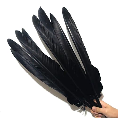 HKSDKABOP Handwerksdekoration mit Federn, 10er-Packung Adlerfedern for Basteln und Dekorieren, Mehrfarbig, 40–60 cm(Black,50-60cm 20-24inch) von HKSDKABOP