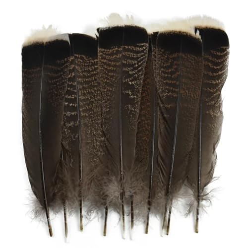 HKSDKABOP Handwerksdekoration mit Federn, 50 Stück Naturfedern for Fasanen, Adler, Truthahn, Basteln, 25–30 cm HKSDKABOP Handwerksdekoration mit Federn, 50 Stück Naturfedern for Fasanen, Adler, Truthahn, Basteln, 25–30 cm von HKSDKABOP
