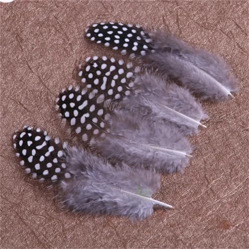 HKSDKABOP Handwerksdekoration mit Federn, 50 Stück Perlhuhn- und Fasanenfedern mit Perlfleck, gefärbt, 5,1–10,2 cm, Mehrfarbig(Natural) von HKSDKABOP