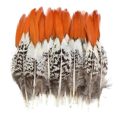 HKSDKABOP Handwerksdekoration mit Federn, Fasanenfedern for Basteln, 5–30 cm, 2–12 Zoll, Packung mit 10 bis 200 Stück, mehrere Größen(20-25cm 8-10 Inch,200 Piece) von HKSDKABOP