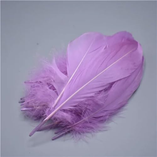 HKSDKABOP Handwerksdekoration mit Federn, Gänsefedern, 20 Stück, Mehrfarbig, 12,7–17,8 cm, for Basteln, for Hochzeiten, Dekoration, Fliegenbinden(Light Purple) von HKSDKABOP