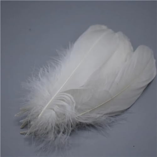 HKSDKABOP Handwerksdekoration mit Federn, Gänsefedern, 20 Stück, Mehrfarbig, 12,7–17,8 cm, for Basteln, for Hochzeiten, Dekoration, Fliegenbinden(White) von HKSDKABOP