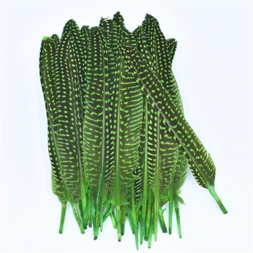 HKSDKABOP Handwerksdekoration mit Federn, Gefleckte Hühnerfedern mit Perlen, 15,2–20,3 cm, Mehrfarbig, in Mehreren Größen, for Basteln(Apple Gn,10 Piece) von HKSDKABOP