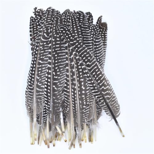 HKSDKABOP Handwerksdekoration mit Federn, Gefleckte Hühnerfedern mit Perlen, 15,2–20,3 cm, Mehrfarbig, in Mehreren Größen, for Basteln(Natural,50 Piece) von HKSDKABOP
