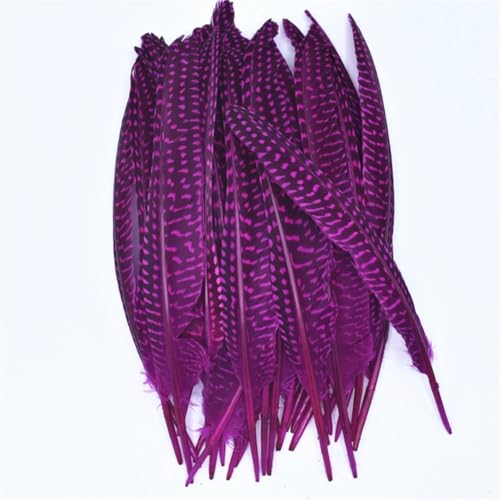 HKSDKABOP Handwerksdekoration mit Federn, Gefleckte Hühnerfedern mit Perlen, 15,2–20,3 cm, Mehrfarbig, in Mehreren Größen, for Basteln(Rose,200 Piece) von HKSDKABOP