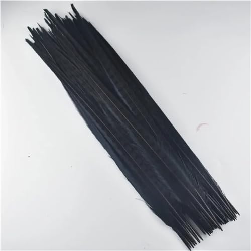 HKSDKABOP Handwerksdekoration mit Federn, Natürliche Ringneck Fasan Federn 40-45cm Multicolor Mehrere Mengen Handwerk Dekor(Black,100 Piece) von HKSDKABOP