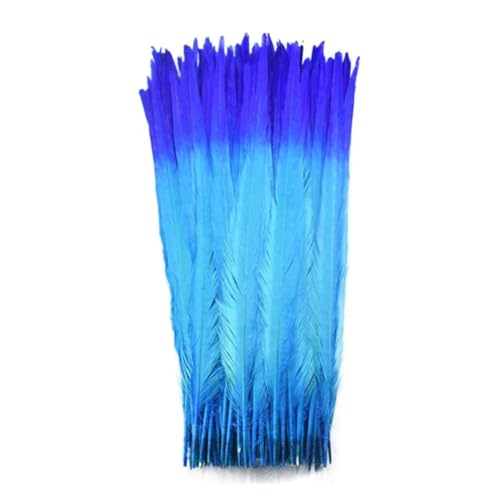 HKSDKABOP Handwerksdekoration mit Federn, Natürliche Ringneck Fasan Federn 40-45cm Multicolor Mehrere Mengen Handwerk Dekor(Double Color 1,100 Piece) von HKSDKABOP