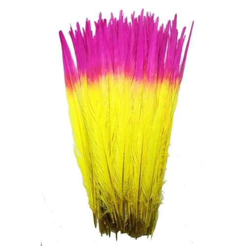 HKSDKABOP Handwerksdekoration mit Federn, Natürliche Ringneck Fasan Federn 40-45cm Multicolor Mehrere Mengen Handwerk Dekor(Double Color 2,100 Piece) von HKSDKABOP