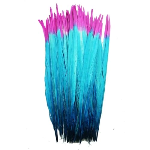 HKSDKABOP Handwerksdekoration mit Federn, Natürliche Ringneck Fasan Federn 40-45cm Multicolor Mehrere Mengen Handwerk Dekor(Double Color 3,100 Piece) von HKSDKABOP