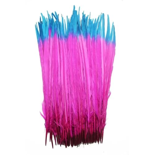 HKSDKABOP Handwerksdekoration mit Federn, Natürliche Ringneck Fasan Federn 40-45cm Multicolor Mehrere Mengen Handwerk Dekor(Double Color 4,100 Piece) von HKSDKABOP