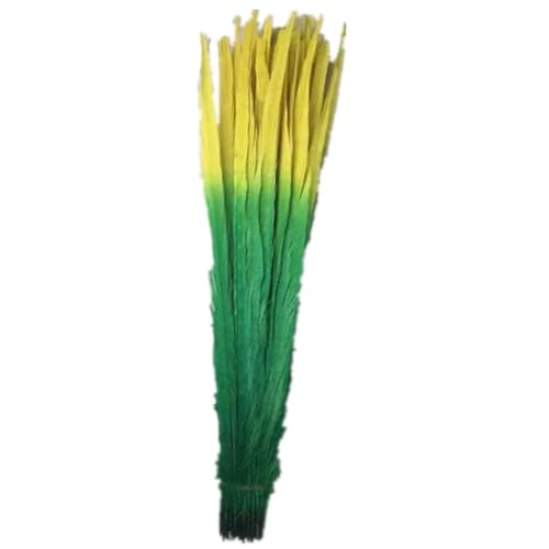HKSDKABOP Handwerksdekoration mit Federn, Natürliche Ringneck Fasan Federn 40-45cm Multicolor Mehrere Mengen Handwerk Dekor(Double Color 9,200 Piece) von HKSDKABOP