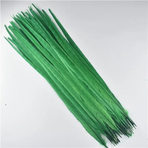 HKSDKABOP Handwerksdekoration mit Federn, Natürliche Ringneck Fasan Federn 40-45cm Multicolor Mehrere Mengen Handwerk Dekor(Grass Gn,100 Piece) von HKSDKABOP