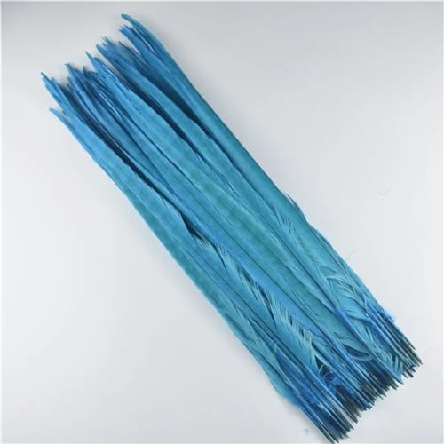 HKSDKABOP Handwerksdekoration mit Federn, Natürliche Ringneck Fasan Federn 40-45cm Multicolor Mehrere Mengen Handwerk Dekor(Lake Blue,50 Piece) von HKSDKABOP