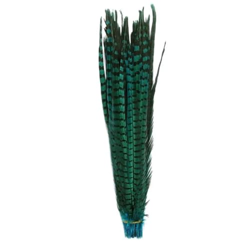 HKSDKABOP Handwerksdekoration mit Federn, Natürliche Ringneck Fasan Federn 40-45cm Multicolor Mehrere Mengen Handwerk Dekor(Lake Blue1,100 Piece) von HKSDKABOP