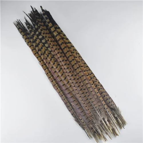 HKSDKABOP Handwerksdekoration mit Federn, Natürliche Ringneck Fasan Federn 40-45cm Multicolor Mehrere Mengen Handwerk Dekor(Natural,30 Piece) von HKSDKABOP